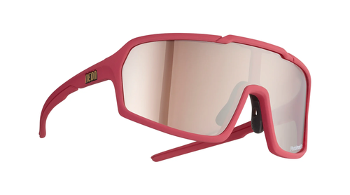 Lentes Neon Arizona Photocromatic Silver Bordeaux