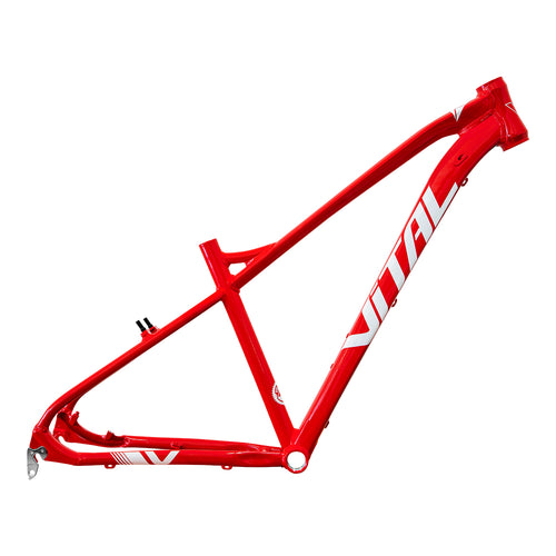 Cuadro Vital MTB R-29 Rojo T-M