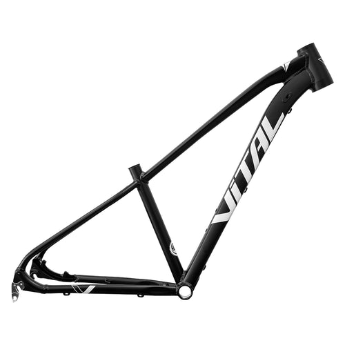 Cuadro Vital MTB R-29 Negro