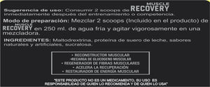 NT Nutrition Muscle Recovery Chocolate 28 Porciones