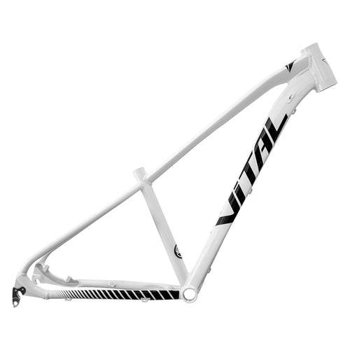 Cuadro Vital MTB R-29 Blanco T-S